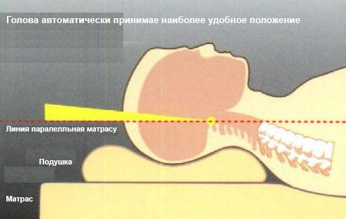 Схема положения головы на ортопедической подушке